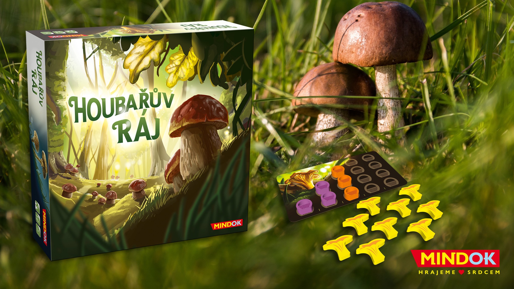V pripravovanej hre sa zahráte na skúseného hubára (Foto: FB / MINDOK)